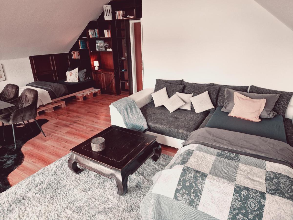Rosindell Brunnenhaus Apartment Halle  Екстериор снимка